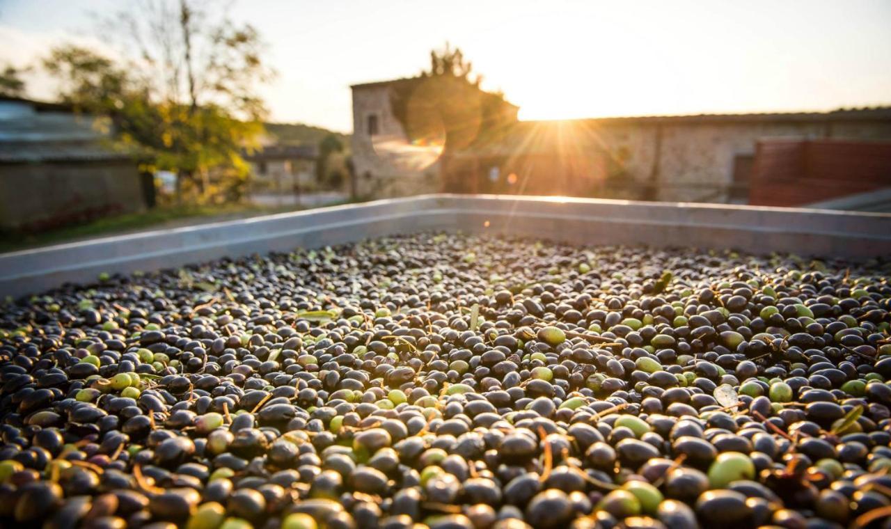 Agriturismo Grossola カスティリオーネ・ドルチャ エクステリア 写真