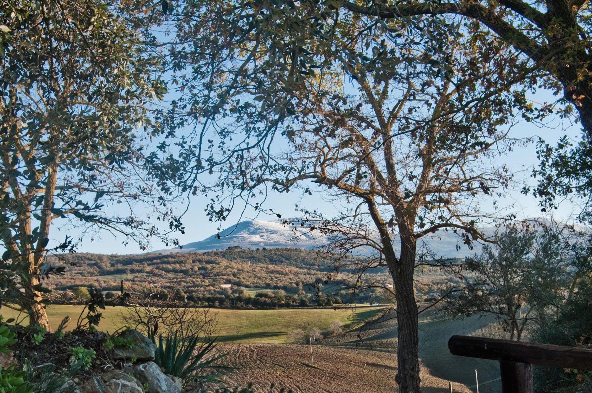 Agriturismo Grossola カスティリオーネ・ドルチャ エクステリア 写真