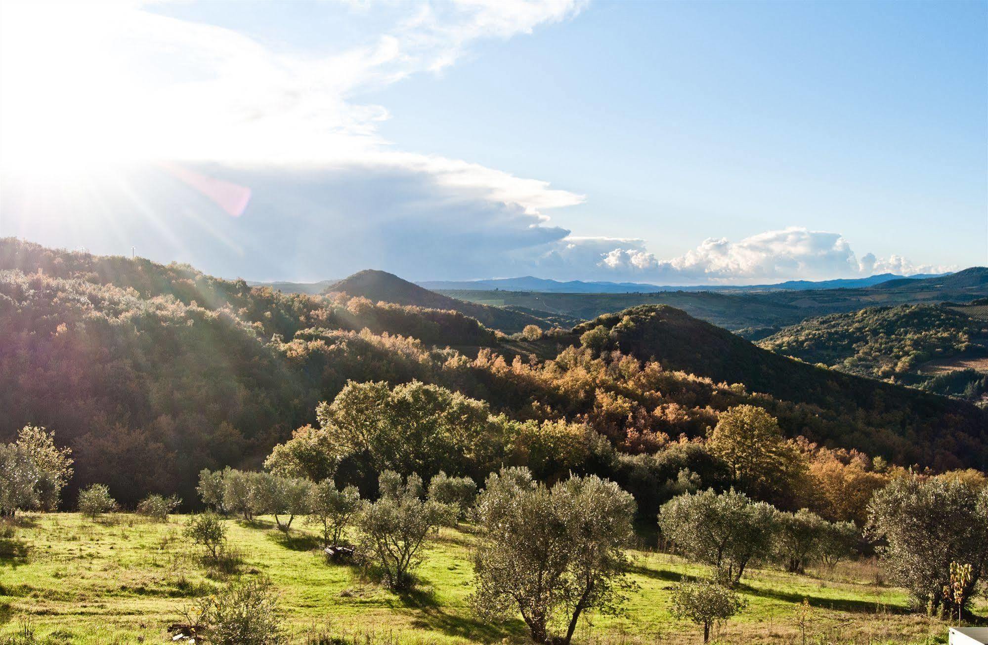 Agriturismo Grossola カスティリオーネ・ドルチャ エクステリア 写真